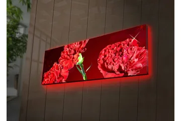 Lerretsbilde med LED-belysning 30x90 cm - Fargerik bukett med nelliker - Rød / Grønn - Interiør - Maleri & posters - Lerretsbilder