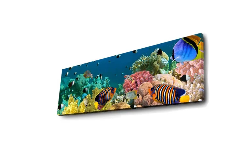 Lerretsbilde med LED-belysning 30x90 cm - Fargerik undervannsscene med tropiske fisker og koraller - Blå / Gul / Rosa - Interiør - Maleri & posters - Lerretsbilder