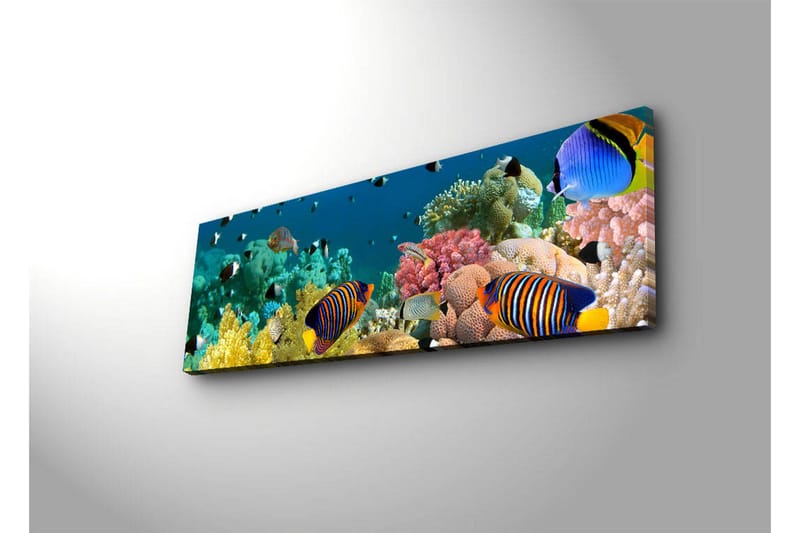 Lerretsbilde med LED-belysning 30x90 cm - Fargerik undervannsscene med tropiske fisker og koraller - Blå / Gul / Rosa - Interiør - Maleri & posters - Lerretsbilder