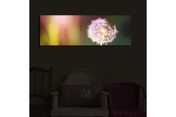 Lerretsbilde med LED-belysning 30x90 cm - Fjærlignende løvetann med myke fargeoverganger - Lilla / Gul / Grønn - Interiør - Maleri & posters - Lerretsbilder