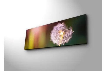 Lerretsbilde med LED-belysning 30x90 cm - Fjærlignende løvetann med myke fargeoverganger - Lilla / Gul / Grønn - Interiør - Maleri & posters - Lerretsbilder