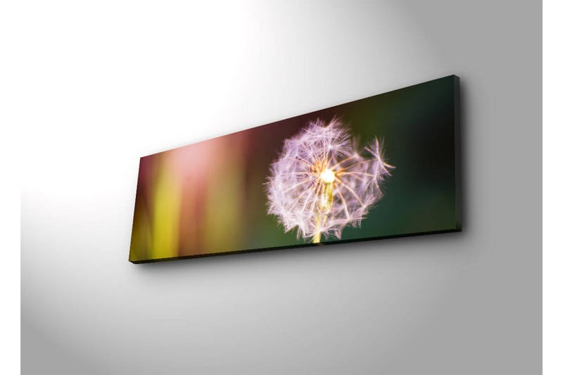 Lerretsbilde med LED-belysning 30x90 cm - Fjærlignende løvetann med myke fargeoverganger - Lilla / Gul / Grønn - Interiør - Maleri & posters - Lerretsbilder