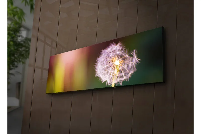 Lerretsbilde med LED-belysning 30x90 cm - Fjærlignende løvetann med myke fargeoverganger - Lilla / Gul / Grønn - Interiør - Maleri & posters - Lerretsbilder