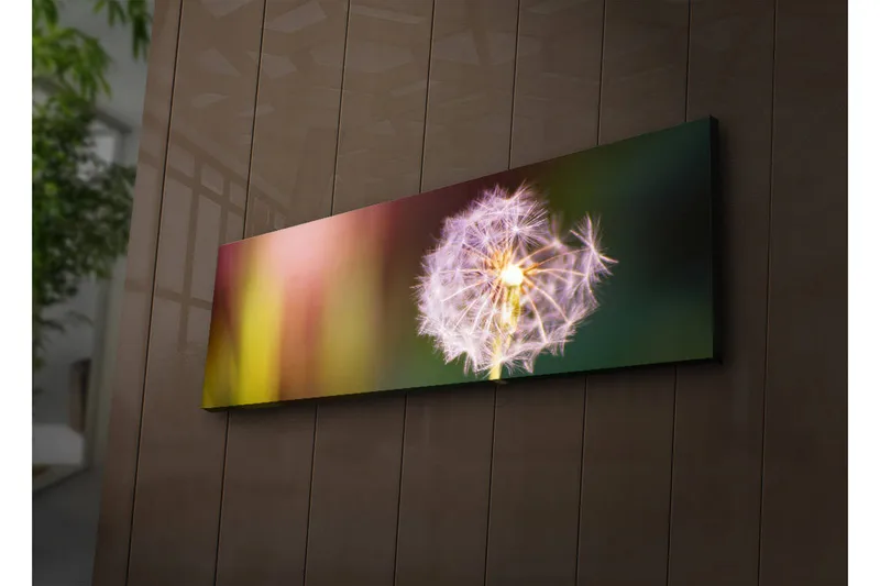 Lerretsbilde med LED-belysning 30x90 cm - Fjærlignende løvetann med myke fargeoverganger - Lilla / Gul / Grønn - Interiør - Maleri & posters - Lerretsbilder