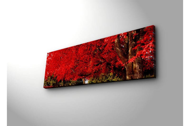 Lerretsbilde med LED-belysning 30x90 cm - Frodig rød løvskog med en stor trestamme - Rød / Grønn / Brun - Interiør - Maleri & posters - Lerretsbilder