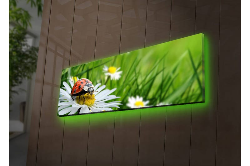 Lerretsbilde med LED-belysning 30x90 cm - Marihøne på en blomst i et frodig miljø - Grønn / Hvit / Rød - Interiør - Maleri & posters - Lerretsbilder