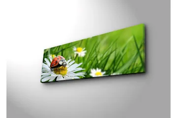 Lerretsbilde med LED-belysning 30x90 cm - Marihøne på en blomst i et frodig miljø - Grønn / Hvit / Rød - Interiør - Maleri & posters - Lerretsbilder