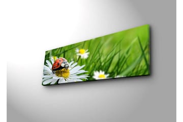 Lerretsbilde med LED-belysning 30x90 cm - Marihøne på en blomst i et frodig miljø - Grønn / Hvit / Rød - Interiør - Maleri & posters - Lerretsbilder