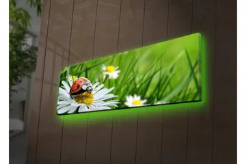 Lerretsbilde med LED-belysning 30x90 cm - Marihøne på en blomst i et frodig miljø - Grønn / Hvit / Rød - Interiør - Maleri & posters - Lerretsbilder