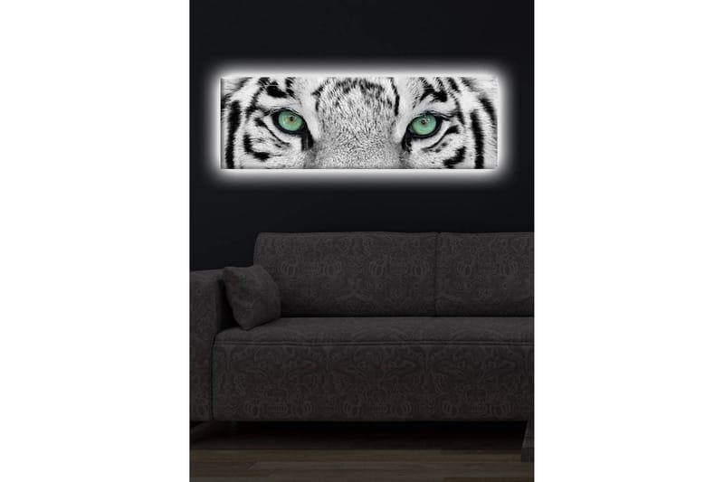 Lerretsbilde med LED-belysning 30x90 cm - Nærbilde av en hvit tigers øyne med intense detaljer - Hvit / Svart / Grønn - Interiør - Maleri & posters - Lerretsbilder