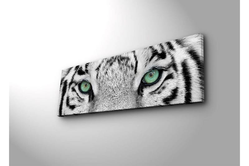 Lerretsbilde med LED-belysning 30x90 cm - Nærbilde av en hvit tigers øyne med intense detaljer - Hvit / Svart / Grønn - Interiør - Maleri & posters - Lerretsbilder
