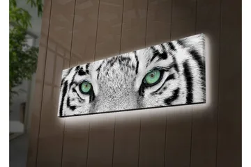Lerretsbilde med LED-belysning 30x90 cm - Nærbilde av en hvit tigers øyne med intense detaljer - Hvit / Svart / Grønn - Interiør - Maleri & posters - Lerretsbilder