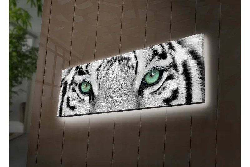Lerretsbilde med LED-belysning 30x90 cm - Nærbilde av en hvit tigers øyne med intense detaljer, Hvit / Svart / Grønn