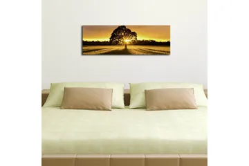 Lerretsbilde med LED-belysning 30x90 cm - Silhuett av et tre mot en gyllen solnedgang - Gull / Svart / Grønn - Interiør - Maleri & posters - Lerretsbilder