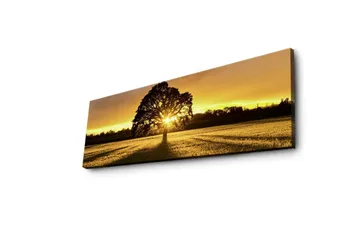 Lerretsbilde med LED-belysning 30x90 cm - Silhuett av et tre mot en gyllen solnedgang - Gull / Svart / Grønn - Interiør - Maleri & posters - Lerretsbilder