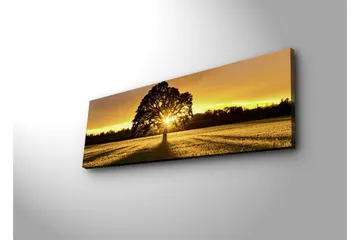 Lerretsbilde med LED-belysning 30x90 cm - Silhuett av et tre mot en gyllen solnedgang - Gull / Svart / Grønn - Interiør - Maleri & posters - Lerretsbilder