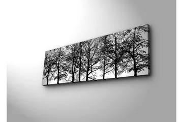 Lerretsbilde med LED-belysning 30x90 cm - Silhuett av tre i svart-hvitt - Svart / Hvit - Interiør - Maleri & posters - Lerretsbilder