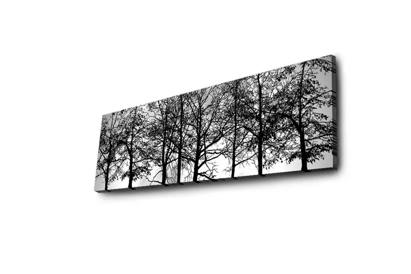 Lerretsbilde med LED-belysning 30x90 cm - Silhuett av tre i svart-hvitt - Svart / Hvit - Interiør - Maleri & posters - Lerretsbilder