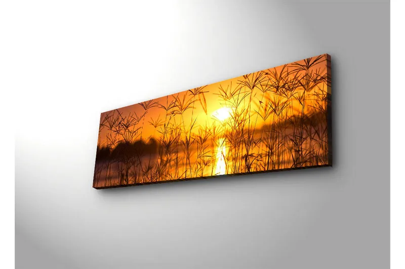 Lerretsbilde med LED-belysning 30x90 cm - Solnedgang over en speilblank innsjø med gress i forgrunnen - Oransje / Gull / Svart - Interiør - Maleri & posters - Lerretsbilder