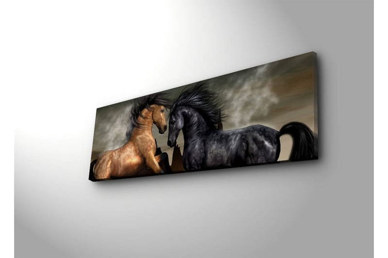 Lerretsbilde med LED-belysning 30x90 cm - To hester som møtes i en kraftfull og dramatisk komposisjon - Gull / Svart / Grå - Interiør - Maleri & posters - Lerretsbilder