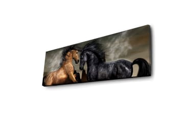Lerretsbilde med LED-belysning 30x90 cm - To hester som møtes i en kraftfull og dramatisk komposisjon - Gull / Svart / Grå - Interiør - Maleri & posters - Lerretsbilder