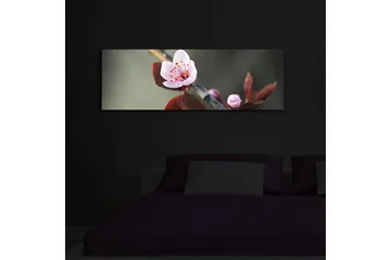 Lerretsbilde med LED-belysning 30x90 cm - Vakker blomst med rosa kronblader og mørkegrønne blader - Rosa / Mørkegrønn - Interiør - Maleri & posters - Lerretsbilder