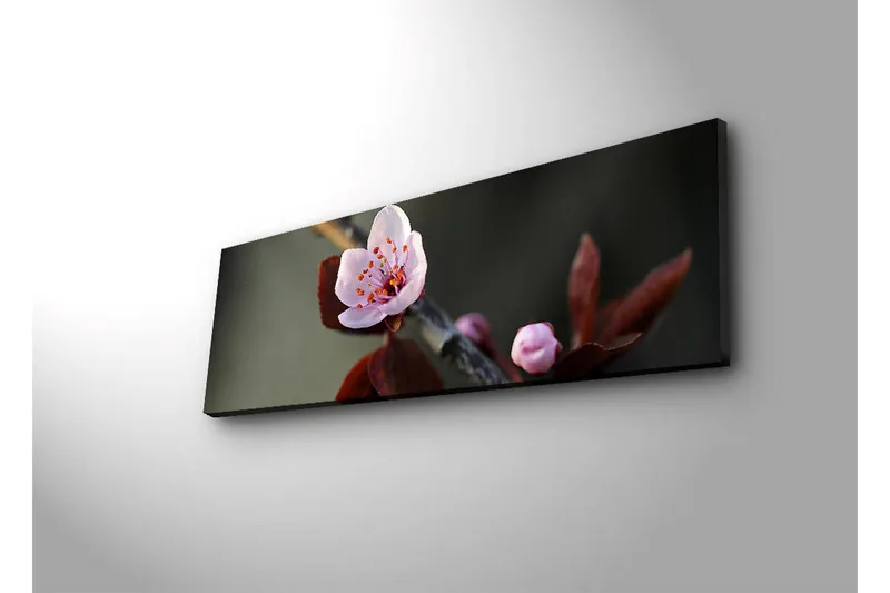 Lerretsbilde med LED-belysning 30x90 cm - Vakker blomst med rosa kronblader og mørkegrønne blader - Rosa / Mørkegrønn - Interiør - Maleri & posters - Lerretsbilder
