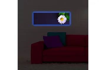 Lerretsbilde med LED-belysning 30x90 cm - Vakker tusenfryd med grønne blader på en mørk bakgrunn - Hvit / Grønn / Mørk blå - Interiør - Maleri & posters - Lerretsbilder