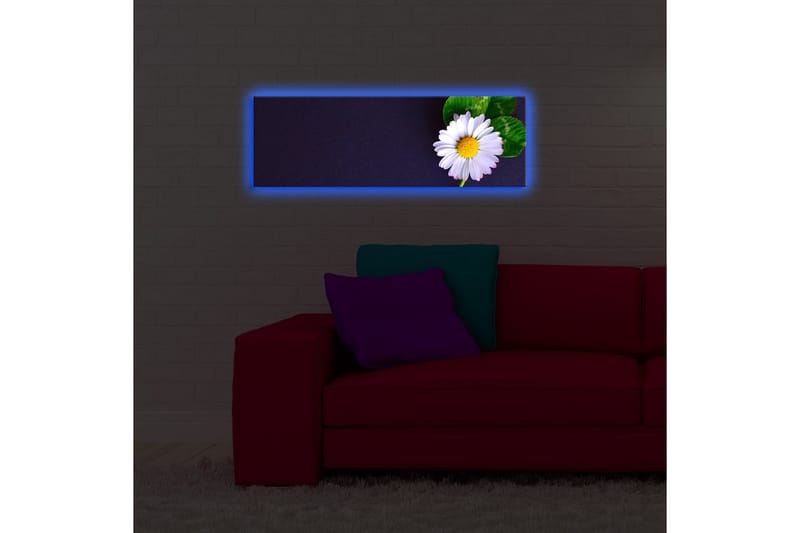 Lerretsbilde med LED-belysning 30x90 cm - Vakker tusenfryd med grønne blader på en mørk bakgrunn - Hvit / Grønn / Mørk blå - Interiør - Maleri & posters - Lerretsbilder