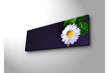 Lerretsbilde med LED-belysning 30x90 cm - Vakker tusenfryd med grønne blader på en mørk bakgrunn - Hvit / Grønn / Mørk blå - Interiør - Maleri & posters - Lerretsbilder