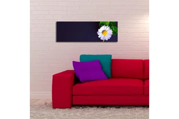 Lerretsbilde med LED-belysning 30x90 cm - Vakker tusenfryd med grønne blader på en mørk bakgrunn - Hvit / Grønn / Mørk blå - Interiør - Maleri & posters - Lerretsbilder