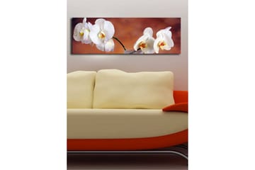 Lerretsbilde med LED-belysning 30x90 cm - Vakre hvite orkideer i en harmonisk komposisjon - Hvit / Beige / Gul - Interiør - Maleri & posters - Lerretsbilder