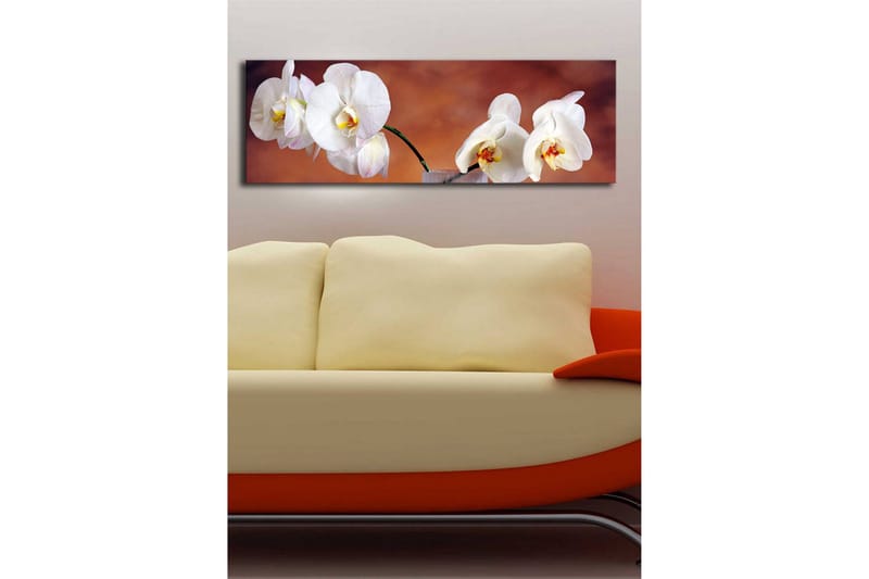 Lerretsbilde med LED-belysning 30x90 cm - Vakre hvite orkideer i en harmonisk komposisjon - Hvit / Beige / Gul - Interiør - Maleri & posters - Lerretsbilder