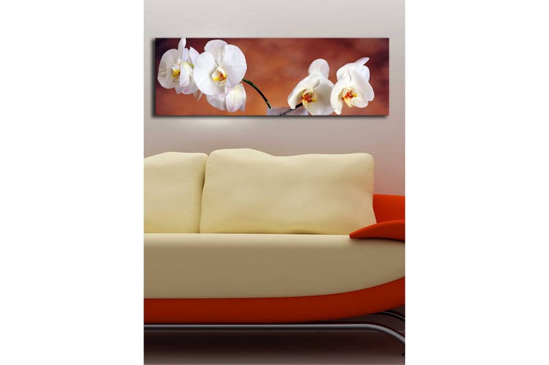 Lerretsbilde med LED-belysning 30x90 cm - Vakre hvite orkideer i en harmonisk komposisjon - Hvit / Beige / Gul - Interiør - Maleri & posters - Lerretsbilder