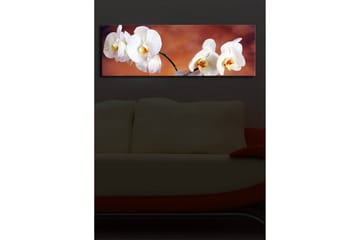 Lerretsbilde med LED-belysning 30x90 cm - Vakre hvite orkideer i en harmonisk komposisjon - Hvit / Beige / Gul - Interiør - Maleri & posters - Lerretsbilder