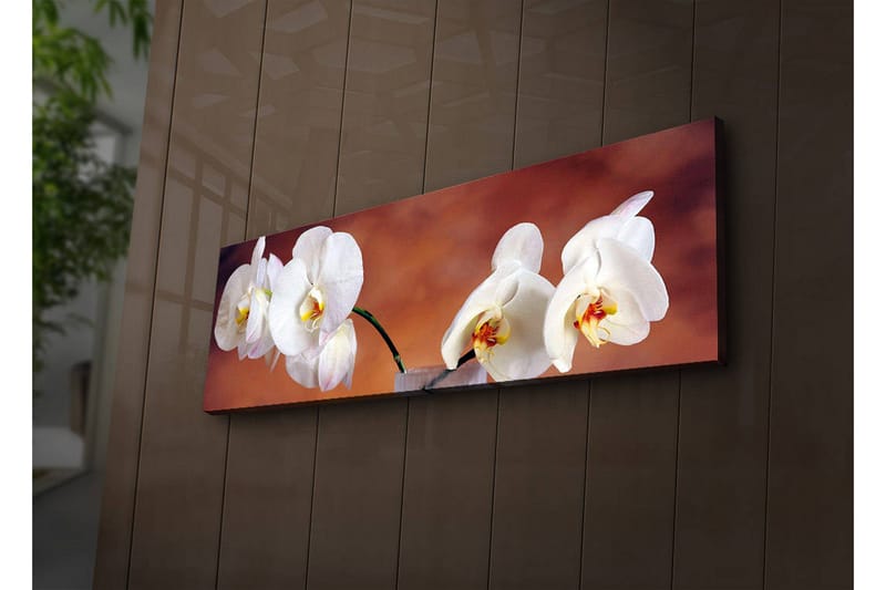 Lerretsbilde med LED-belysning 30x90 cm - Vakre hvite orkideer i en harmonisk komposisjon - Hvit / Beige / Gul - Interiør - Maleri & posters - Lerretsbilder