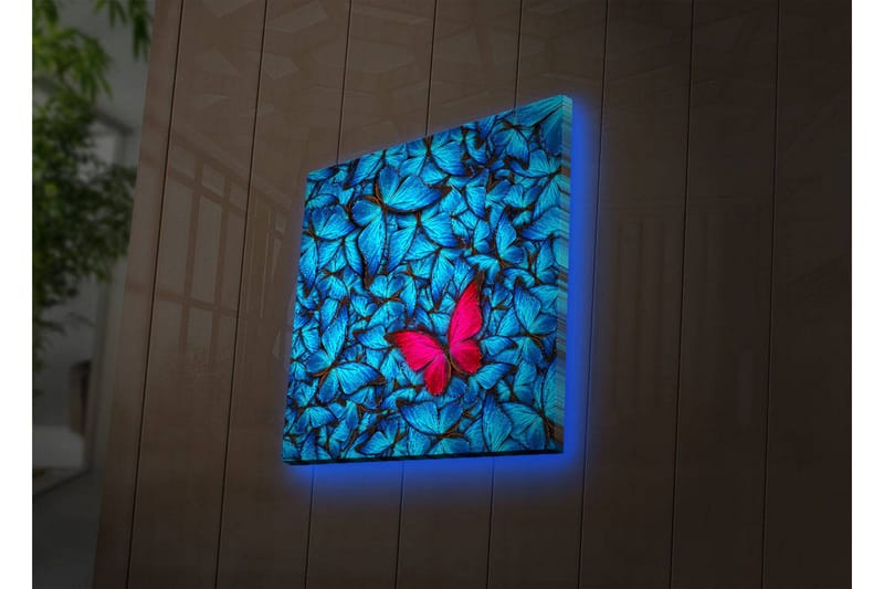 Lerretsbilde med LED-belysning 40x40 cm - Blå opplyste sommerfugler i bakgrunnen med en rosa sommerfugl, Blå / Rosa / Svart