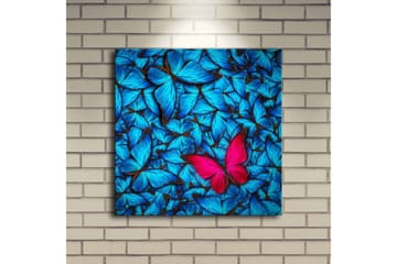 Lerretsbilde med LED-belysning 40x40 cm - Blå opplyste sommerfugler i bakgrunnen med en rosa sommerfugl - Blå / Rosa / Svart - Interiør - Maleri & posters - Lerretsbilder