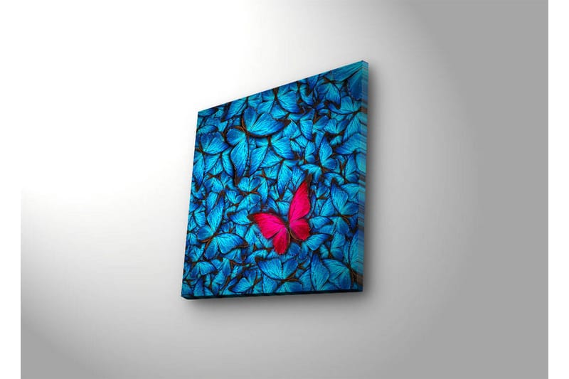 Lerretsbilde med LED-belysning 40x40 cm - Blå opplyste sommerfugler i bakgrunnen med en rosa sommerfugl - Blå / Rosa / Svart - Interiør - Maleri & posters - Lerretsbilder