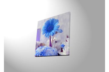 Lerretsbilde med LED-belysning 40x40 cm - Blomster i forskjellige blånyanser - Blå / Hvit - Interiør - Maleri & posters - Lerretsbilder