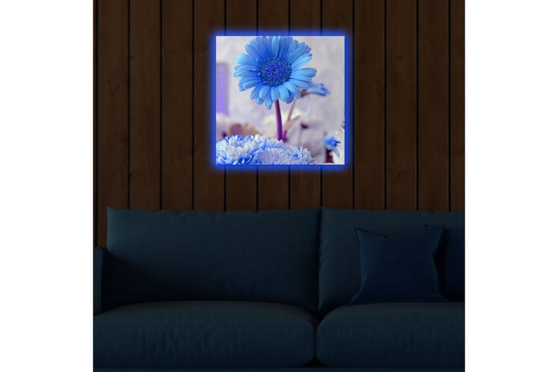 Lerretsbilde med LED-belysning 40x40 cm - Blomster i forskjellige blånyanser - Blå / Hvit - Interiør - Maleri & posters - Lerretsbilder