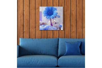 Lerretsbilde med LED-belysning 40x40 cm - Blomster i forskjellige blånyanser - Blå / Hvit - Interiør - Maleri & posters - Lerretsbilder
