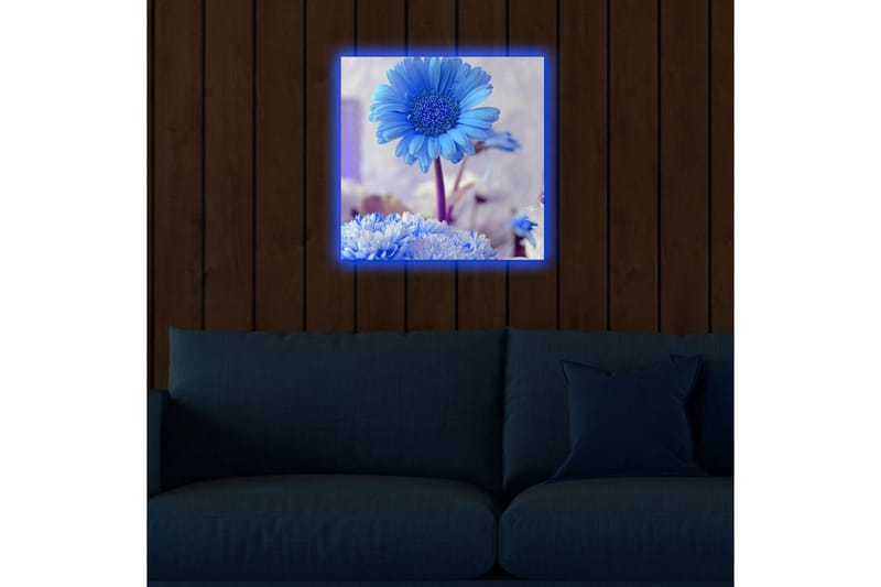 Lerretsbilde med LED-belysning 40x40 cm - Blomster i forskjellige blånyanser - Blå / Hvit - Interiør - Maleri & posters - Lerretsbilder