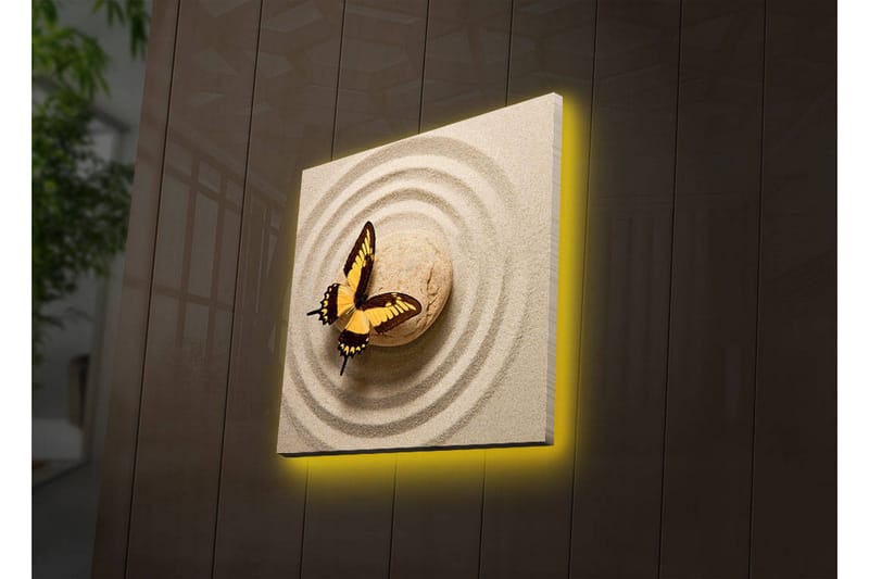 Lerretsbilde med LED-belysning 40x40 cm - Fargerik sommerfugl på en sandoverflate med sirkulære mønstre - Gul / Brun / Beige - Interiør - Maleri & posters - Lerretsbilder
