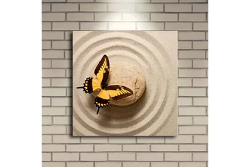 Lerretsbilde med LED-belysning 40x40 cm - Fargerik sommerfugl på en sandoverflate med sirkulære mønstre - Gul / Brun / Beige - Interiør - Maleri & posters - Lerretsbilder