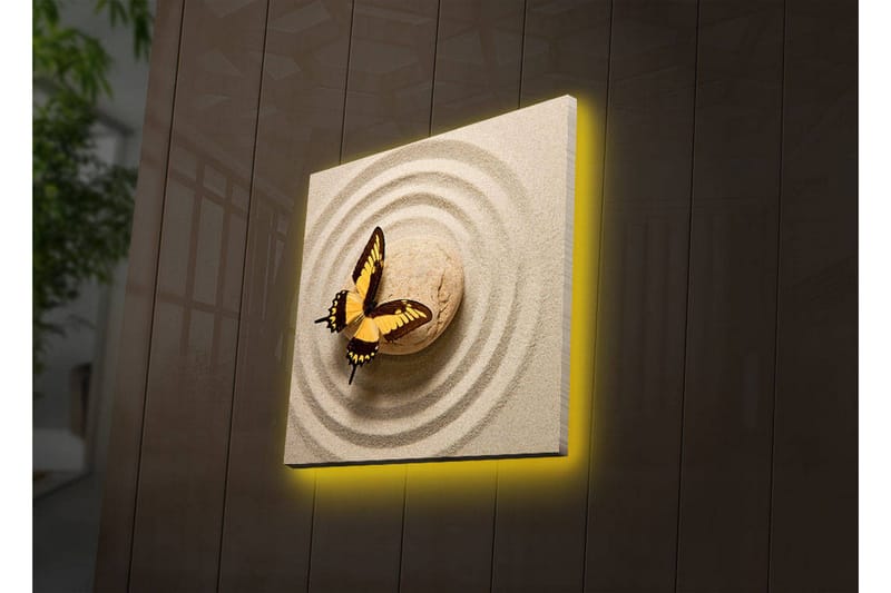 Lerretsbilde med LED-belysning 40x40 cm - Fargerik sommerfugl på en sandoverflate med sirkulære mønstre - Gul / Brun / Beige - Interiør - Maleri & posters - Lerretsbilder
