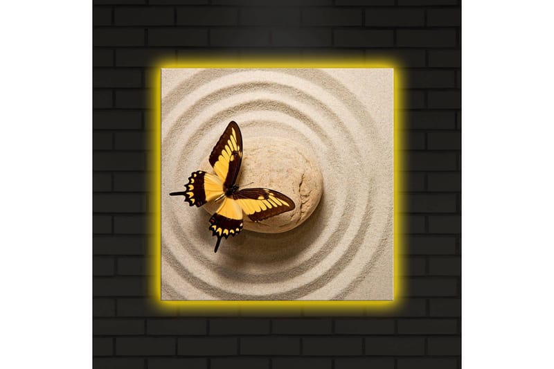 Lerretsbilde med LED-belysning 40x40 cm - Fargerik sommerfugl på en sandoverflate med sirkulære mønstre - Gul / Brun / Beige - Interiør - Maleri & posters - Lerretsbilder