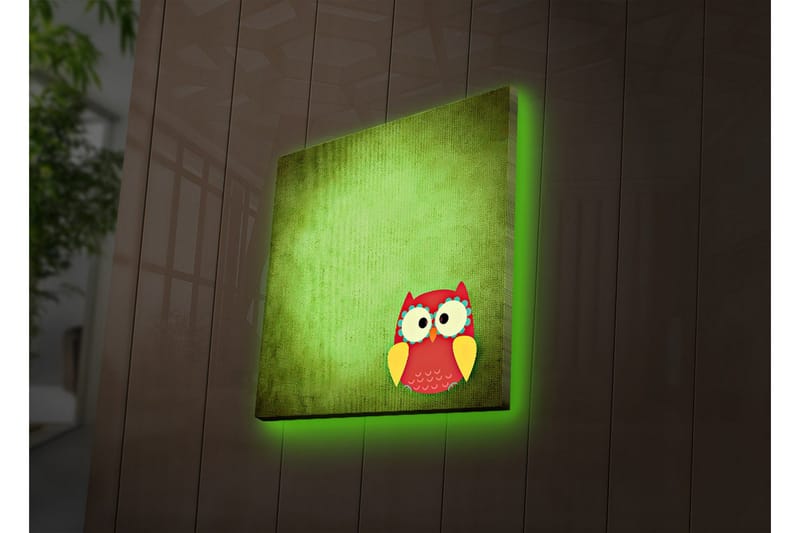 Lerretsbilde med LED-belysning 40x40 cm - Fargerik ugle på grønn bakgrunn - Grønn / Rød / Gul - Interiør - Maleri & posters - Lerretsbilder