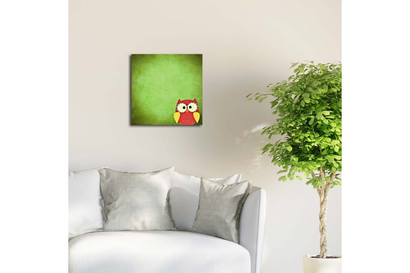 Lerretsbilde med LED-belysning 40x40 cm - Fargerik ugle på grønn bakgrunn - Grønn / Rød / Gul - Interiør - Maleri & posters - Lerretsbilder