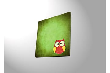 Lerretsbilde med LED-belysning 40x40 cm - Fargerik ugle på grønn bakgrunn - Grønn / Rød / Gul - Interiør - Maleri & posters - Lerretsbilder